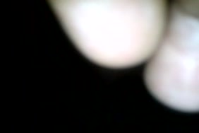 Porno en france femme chien cheval
