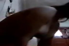 Une femme quia le gros sexe et le gros fesse