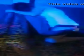 Les plus dangereux video porno