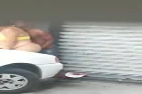 Sex anumal et damm